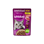 Dry Dog Food